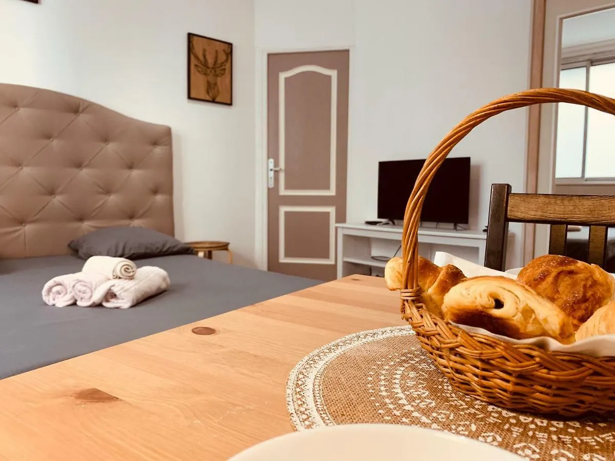 公寓 Victoire Appartement 普罗旺斯地区艾克斯 法国